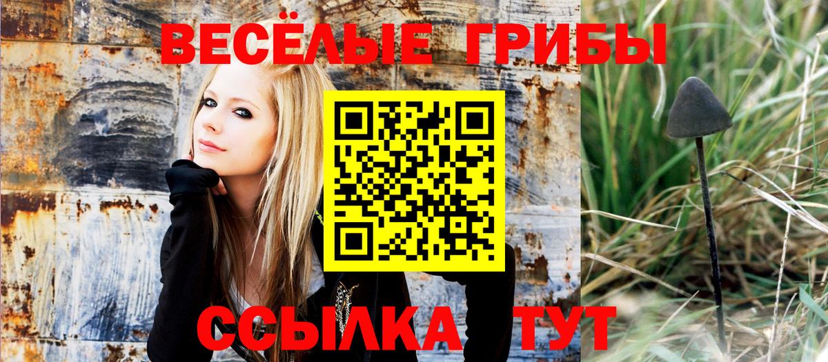 Галлюциногенные грибы MAGIC MUSHROOMS Кировск